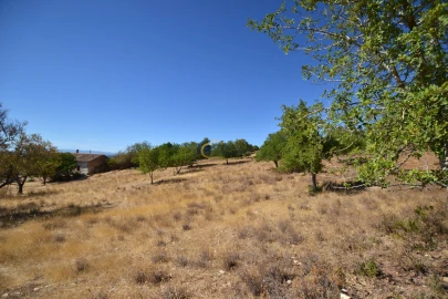 Moradia T3 para Venda em Silves