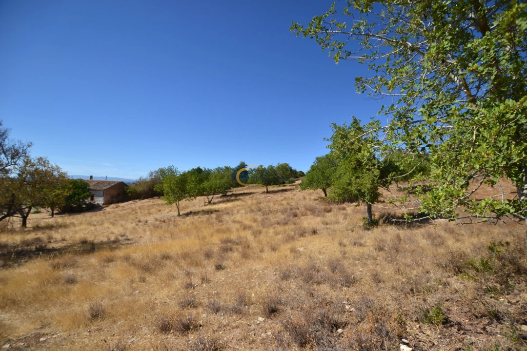 Moradia T3 para Venda em Silves Foto 34