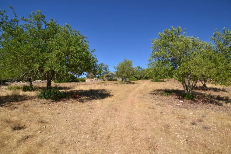 Moradia T3 para Venda em Silves Foto 30
