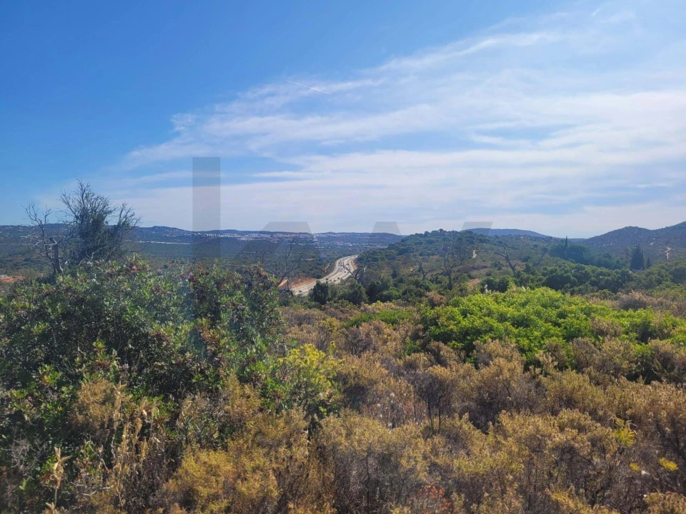 Terreno para Venda em Loule (São Clemente) Foto 7