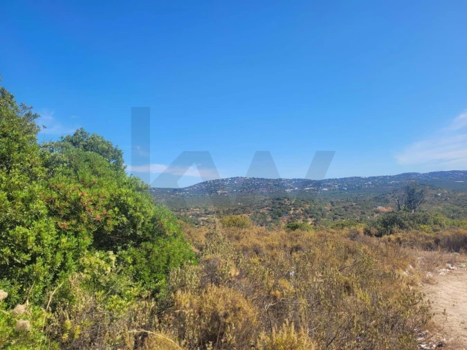 Terreno para Venda em Loule (São Clemente) Foto 5