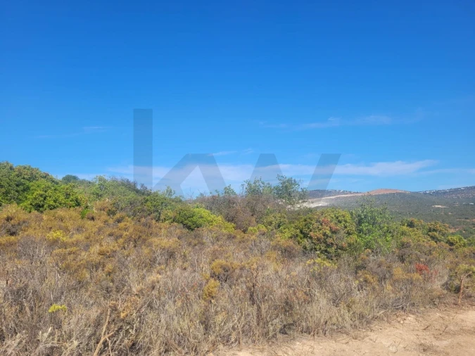 Terreno para Venda em Loule (São Clemente) Foto 9