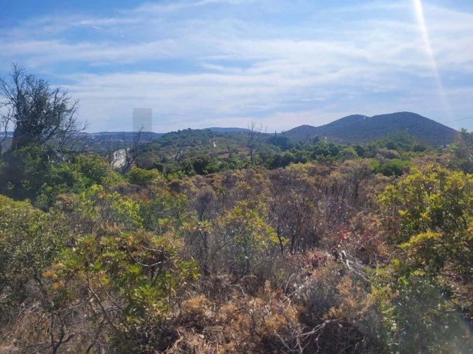 Terreno para Venda em Loule (São Clemente) Foto 8