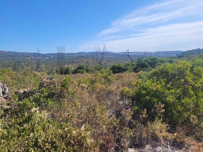 Terreno para Venda em Loule (São Clemente) Foto 15