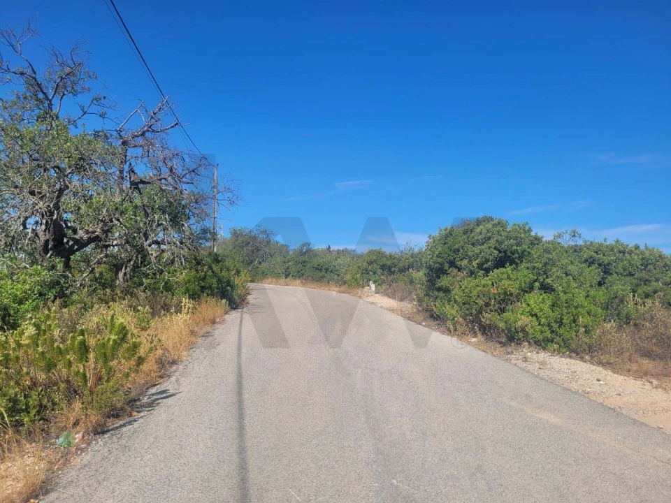 Terreno para Venda em Loule (São Clemente) Foto 11