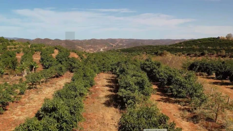 Terreno para Venda em Silves