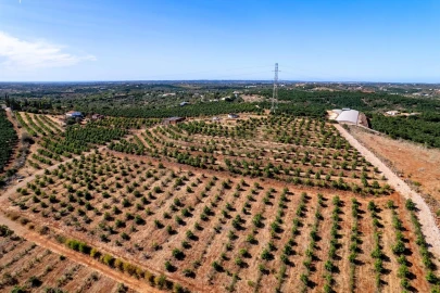 Terreno para Venda em Silves