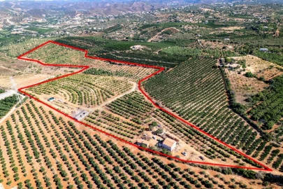 Terreno para Venda em Silves