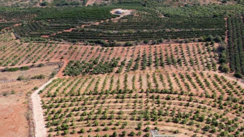 Terreno para Venda em Silves