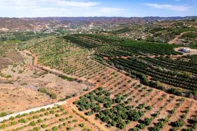 Terreno para Venda em Silves