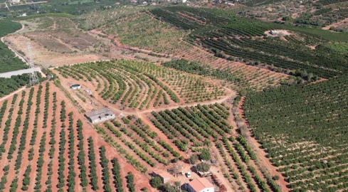 Terreno para Venda em Silves