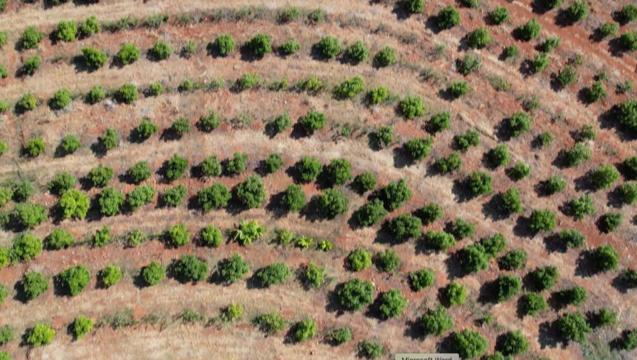 Terreno para Venda em São Silvestre Foto 13