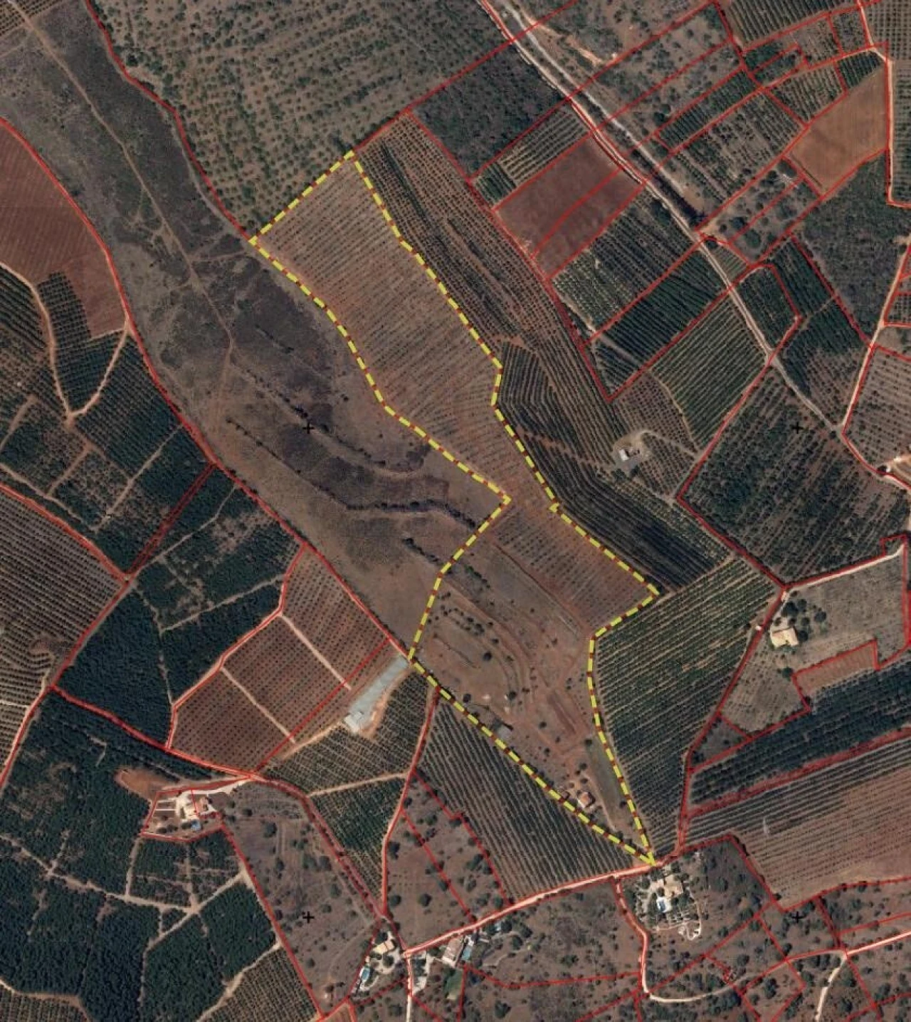 Terreno para Venda em São Silvestre Foto 18