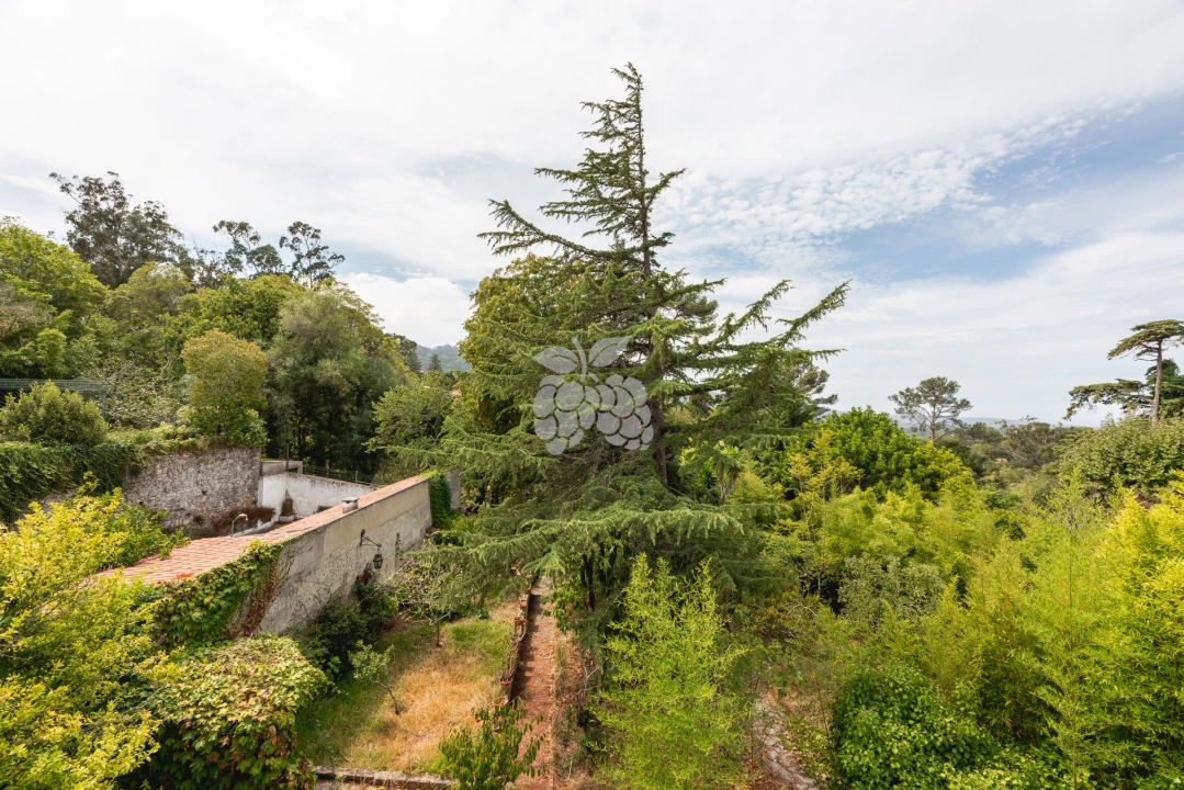 Moradia T6 para Venda em Agualva e Mira-Sintra Foto 60