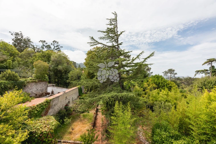 Moradia T6 para Venda em Agualva e Mira-Sintra Foto 60