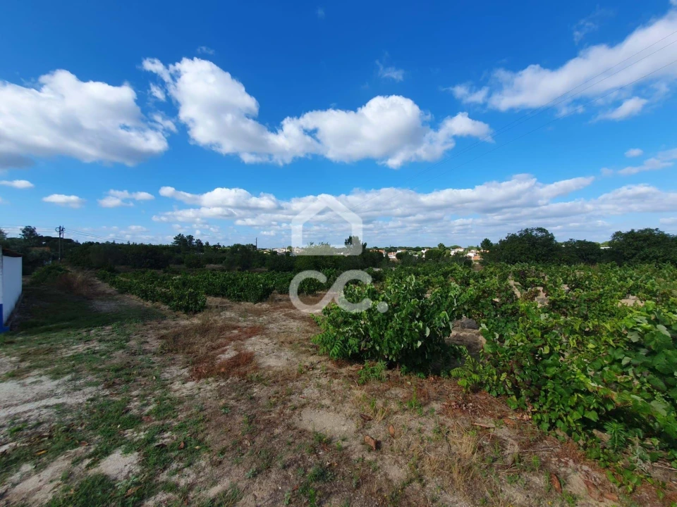 Terreno para Venda em Coruche, Fajarda e Erra Foto 7