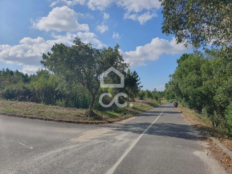 Terreno para Venda em Coruche, Fajarda e Erra Foto 14