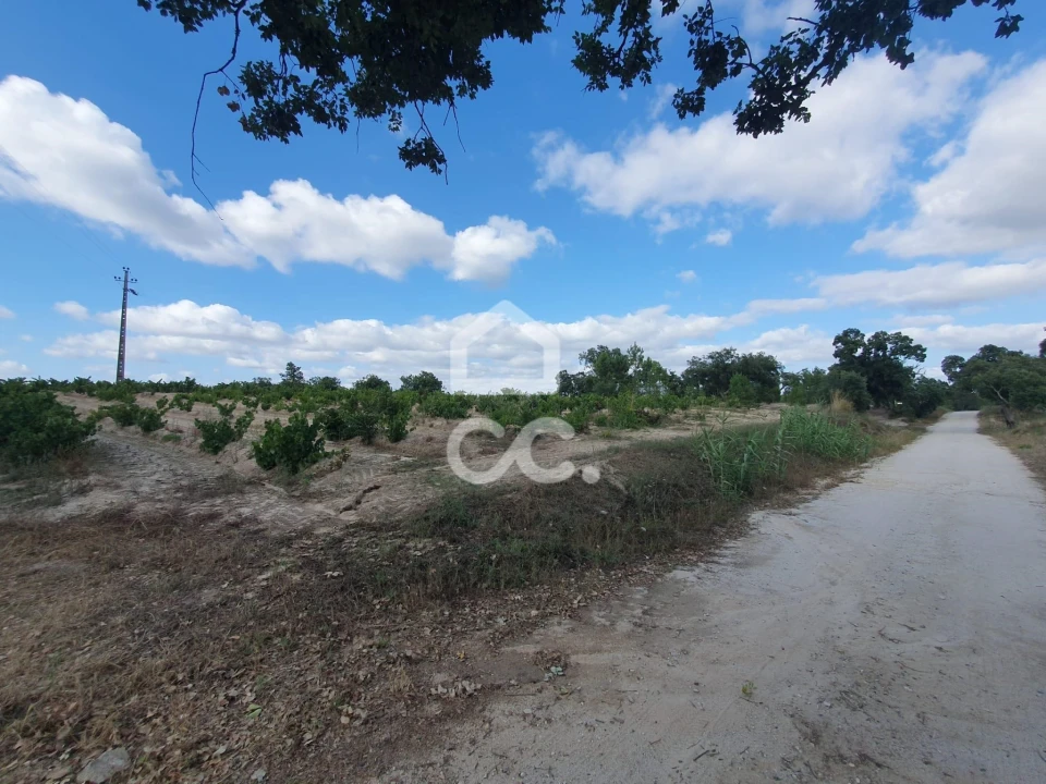 Terreno para Venda em Coruche, Fajarda e Erra Foto 10