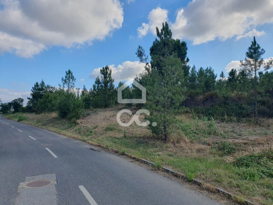 Terreno para Venda em Coruche, Fajarda e Erra Foto 12