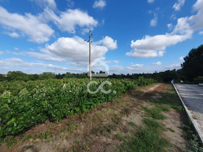 Terreno para Venda em Coruche, Fajarda e Erra Foto 8