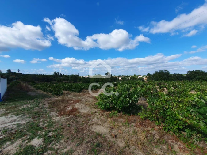 Terreno para Venda em Coruche, Fajarda e Erra Foto 7