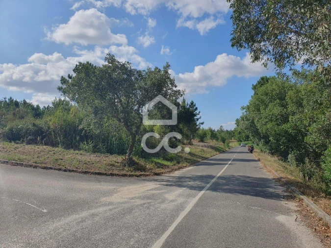 Terreno para Venda em Coruche, Fajarda e Erra Foto 14