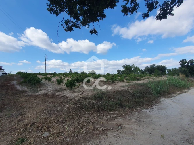 Terreno para Venda em Coruche, Fajarda e Erra Foto 11