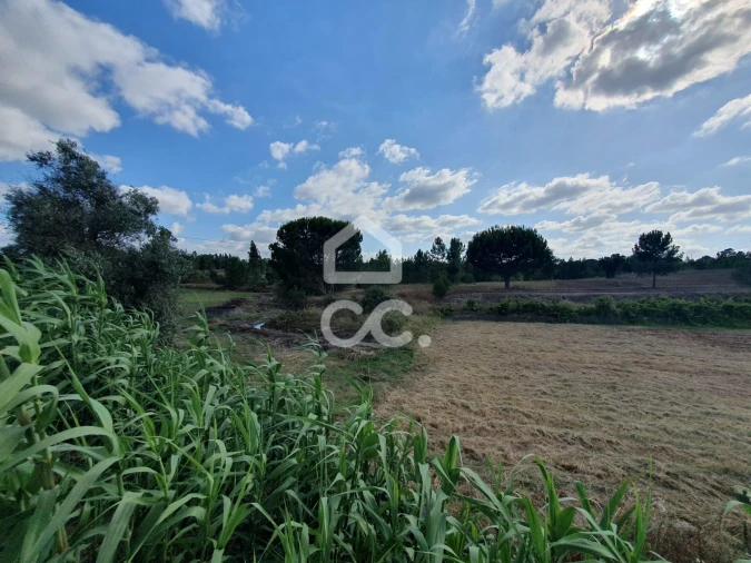 Terreno para Venda em Coruche, Fajarda e Erra Foto 2