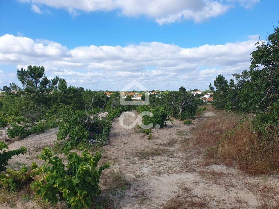 Terreno para Venda em Coruche, Fajarda e Erra Foto 3