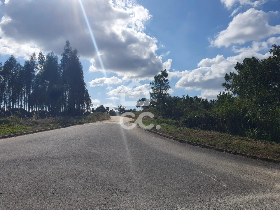 Terreno para Venda em Coruche, Fajarda e Erra Foto 13