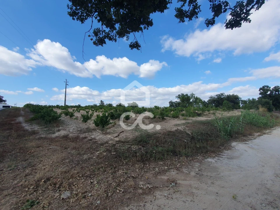 Terreno para Venda em Coruche, Fajarda e Erra Foto 11