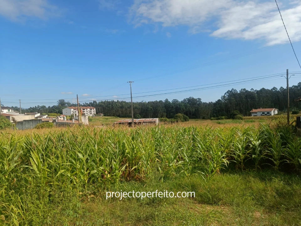 Moradia T2 para Venda em O. Azeméis, Riba-Ul, Ul, Macinhata Seixa, Madail Foto 8