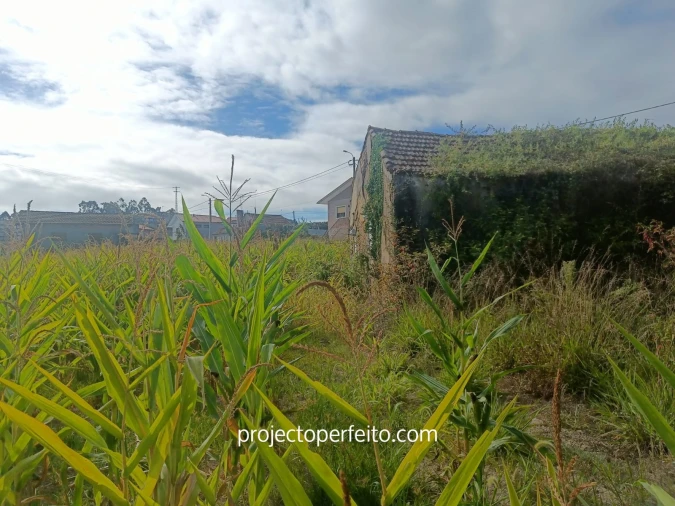 Moradia T2 para Venda em O. Azeméis, Riba-Ul, Ul, Macinhata Seixa, Madail Foto 7