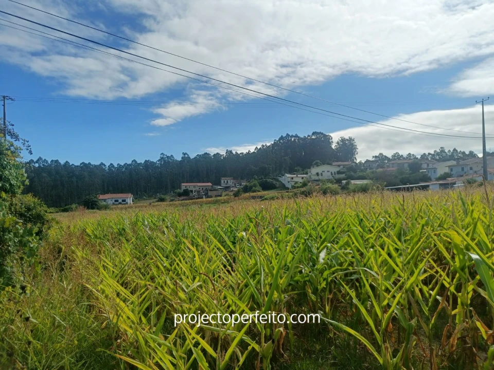 Moradia T2 para Venda em O. Azeméis, Riba-Ul, Ul, Macinhata Seixa, Madail Foto 6
