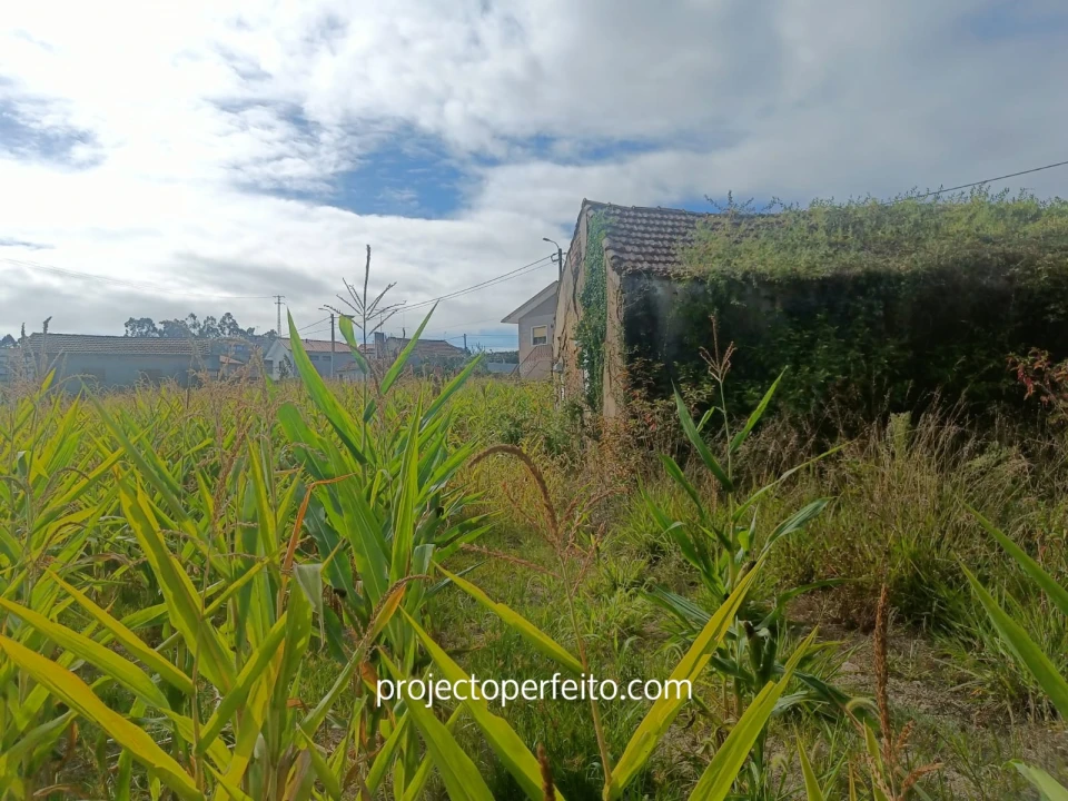 Moradia T2 para Venda em O. Azeméis, Riba-Ul, Ul, Macinhata Seixa, Madail Foto 7