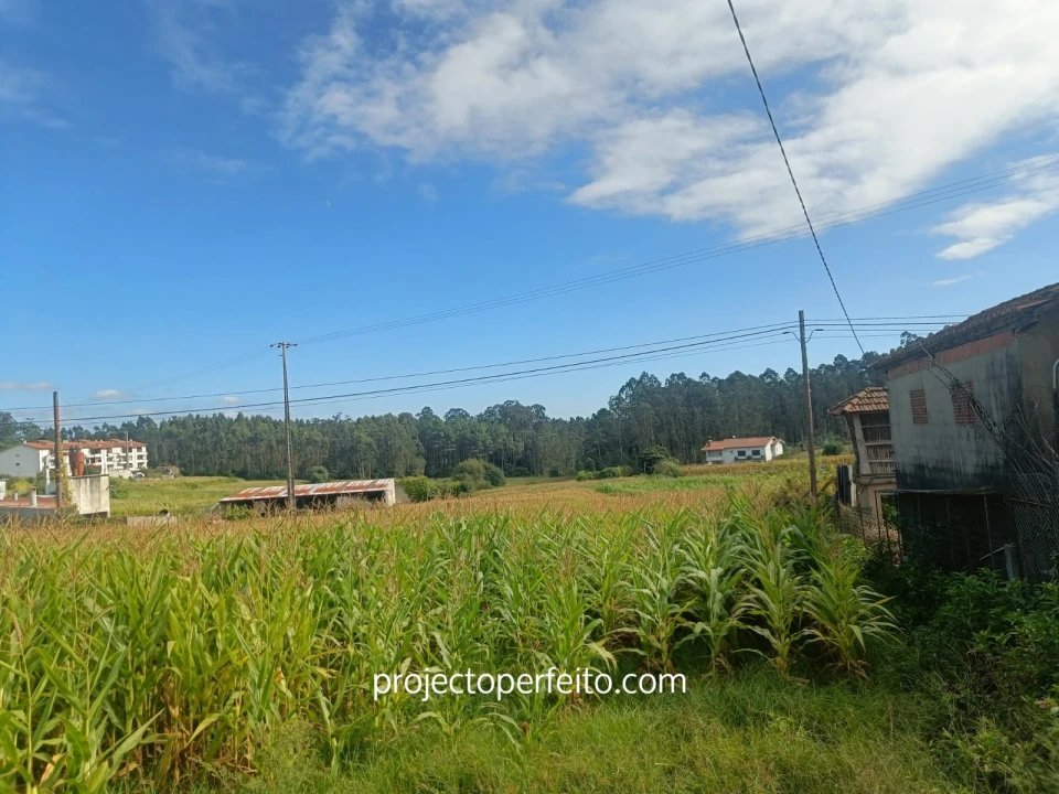 Moradia T2 para Venda em O. Azeméis, Riba-Ul, Ul, Macinhata Seixa, Madail Foto 5