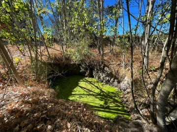 Quinta T0 para Venda em Alcains