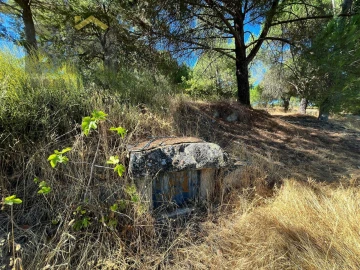 Quinta T0 para Venda em Alcains