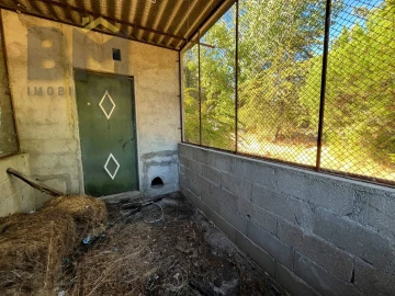 Quinta T0 para Venda em Alcains