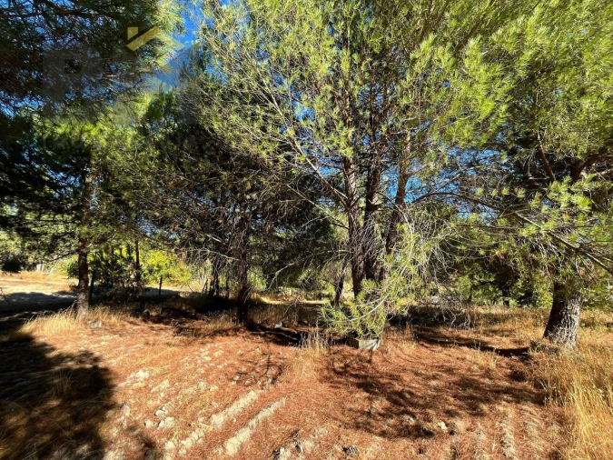 Quinta T0 para Venda em Alcains Foto 18
