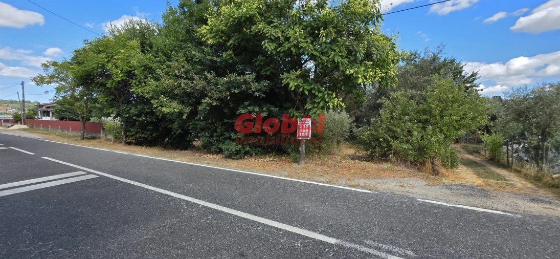 Terreno para Venda em Faíl e Vila Chã de Sá Foto 2