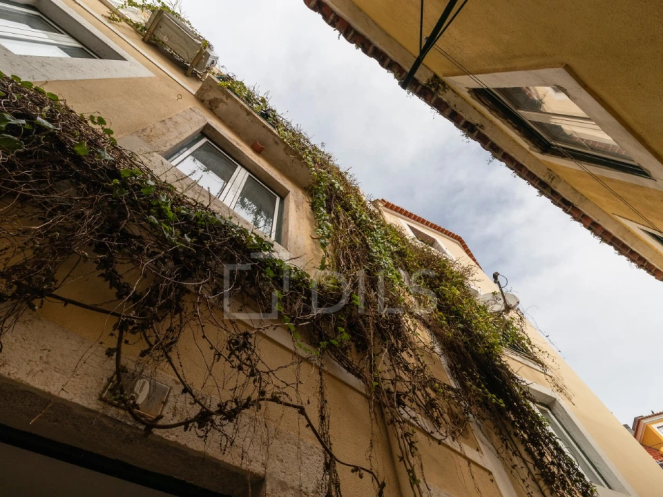 Prédio para Venda em São Vicente Foto 17