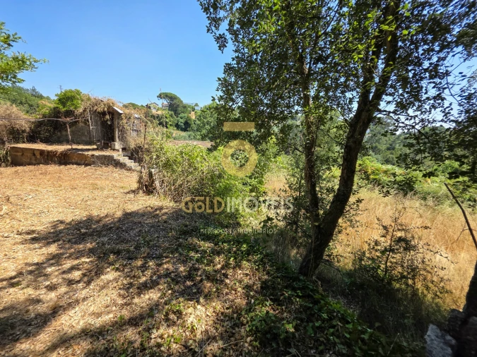 Quinta T4 para Venda em Sobrado e Bairros Foto 14