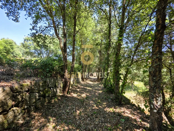 Quinta T4 para Venda em Sobrado e Bairros Foto 15