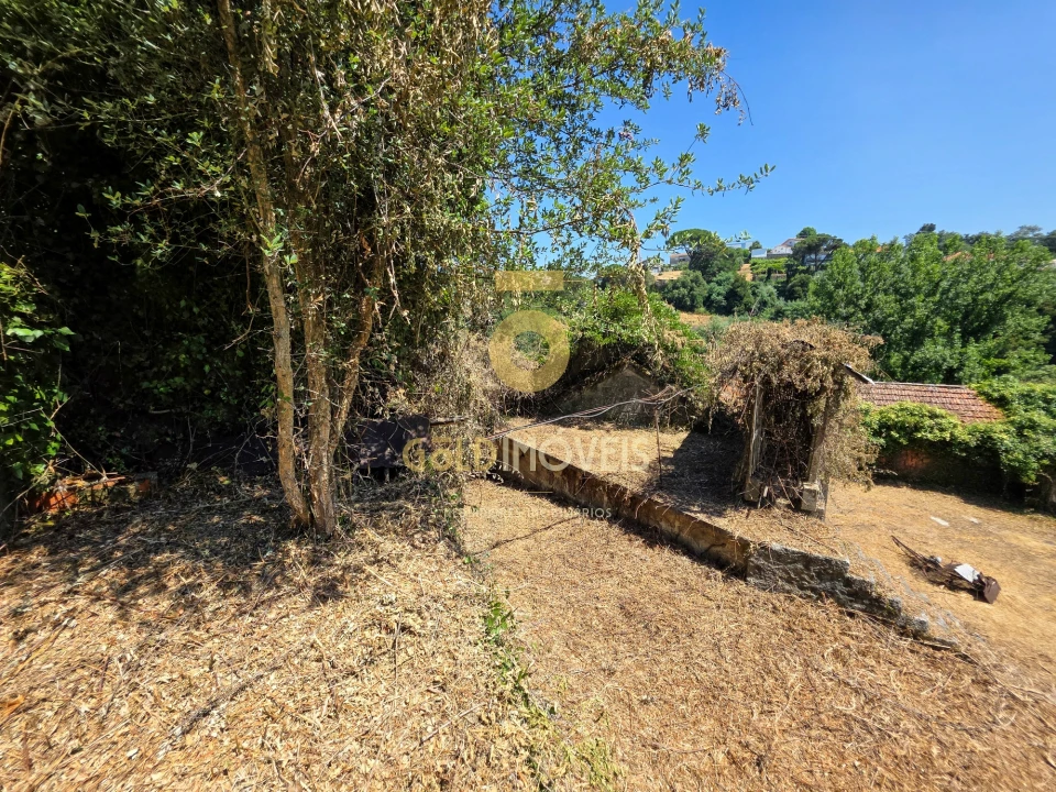 Quinta T4 para Venda em Sobrado e Bairros Foto 18