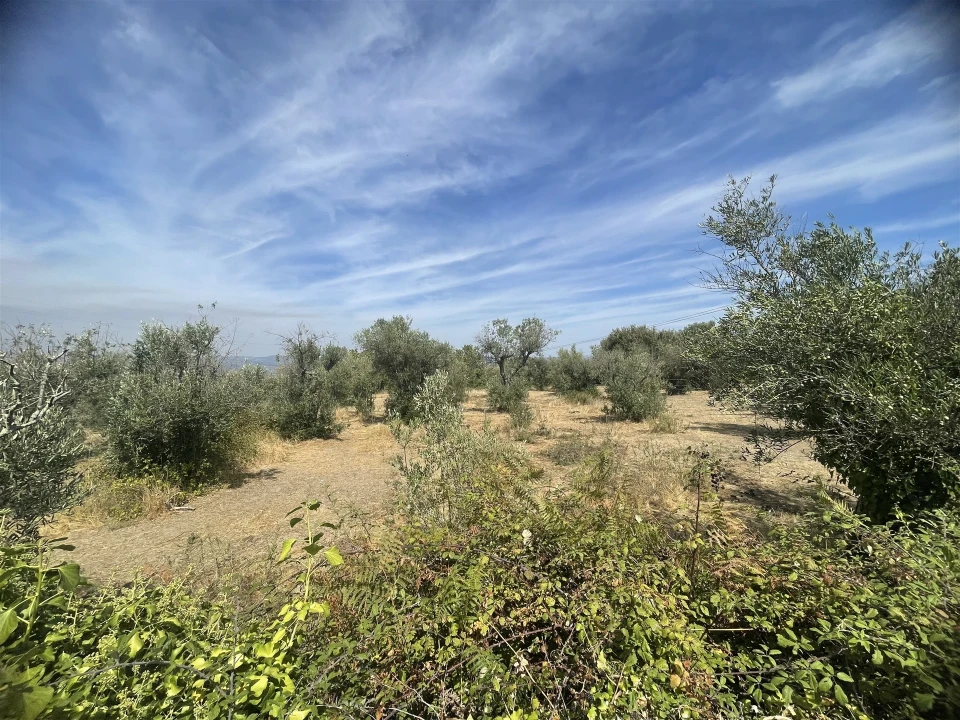 Terreno para Venda em Melo e Nabais Foto 10