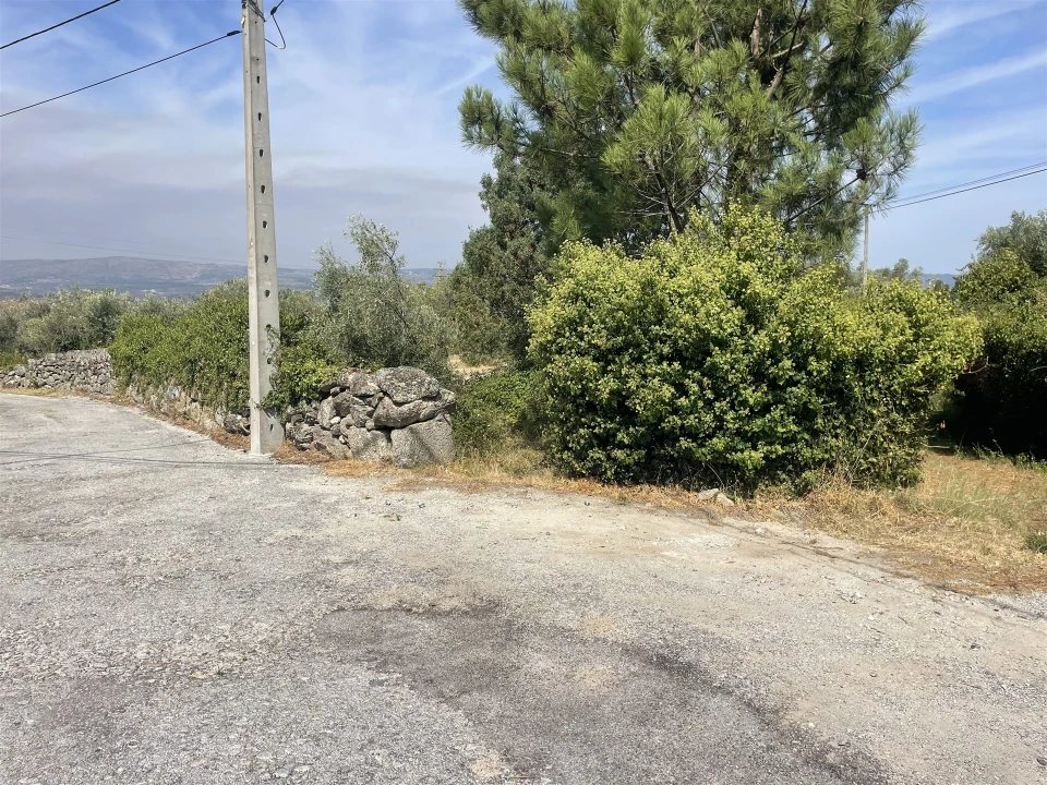 Terreno para Venda em Melo e Nabais Foto 8