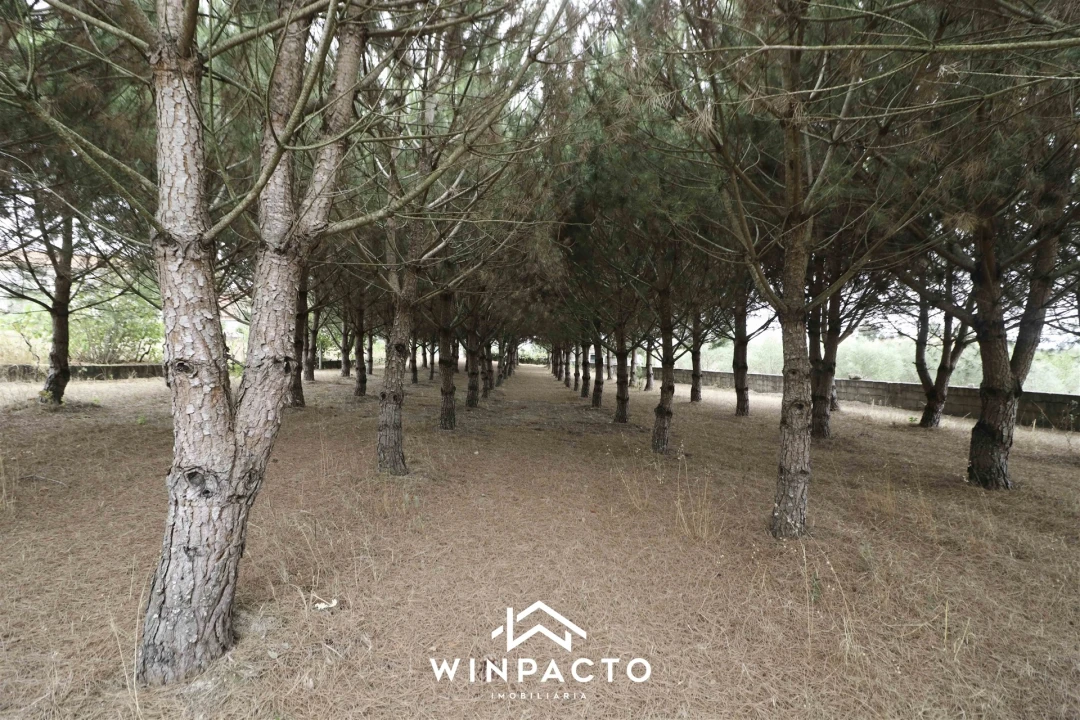 Quinta T0 para Venda em Paranhos Foto 22