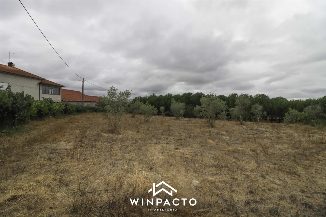 Quinta T0 para Venda em Paranhos Foto 12