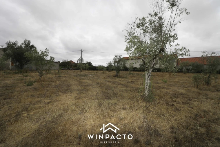 Quinta T0 para Venda em Paranhos Foto 26